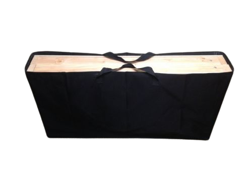 Cornhole carrying case