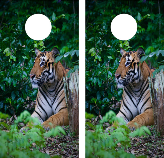 Tiger Cornhole Wraps