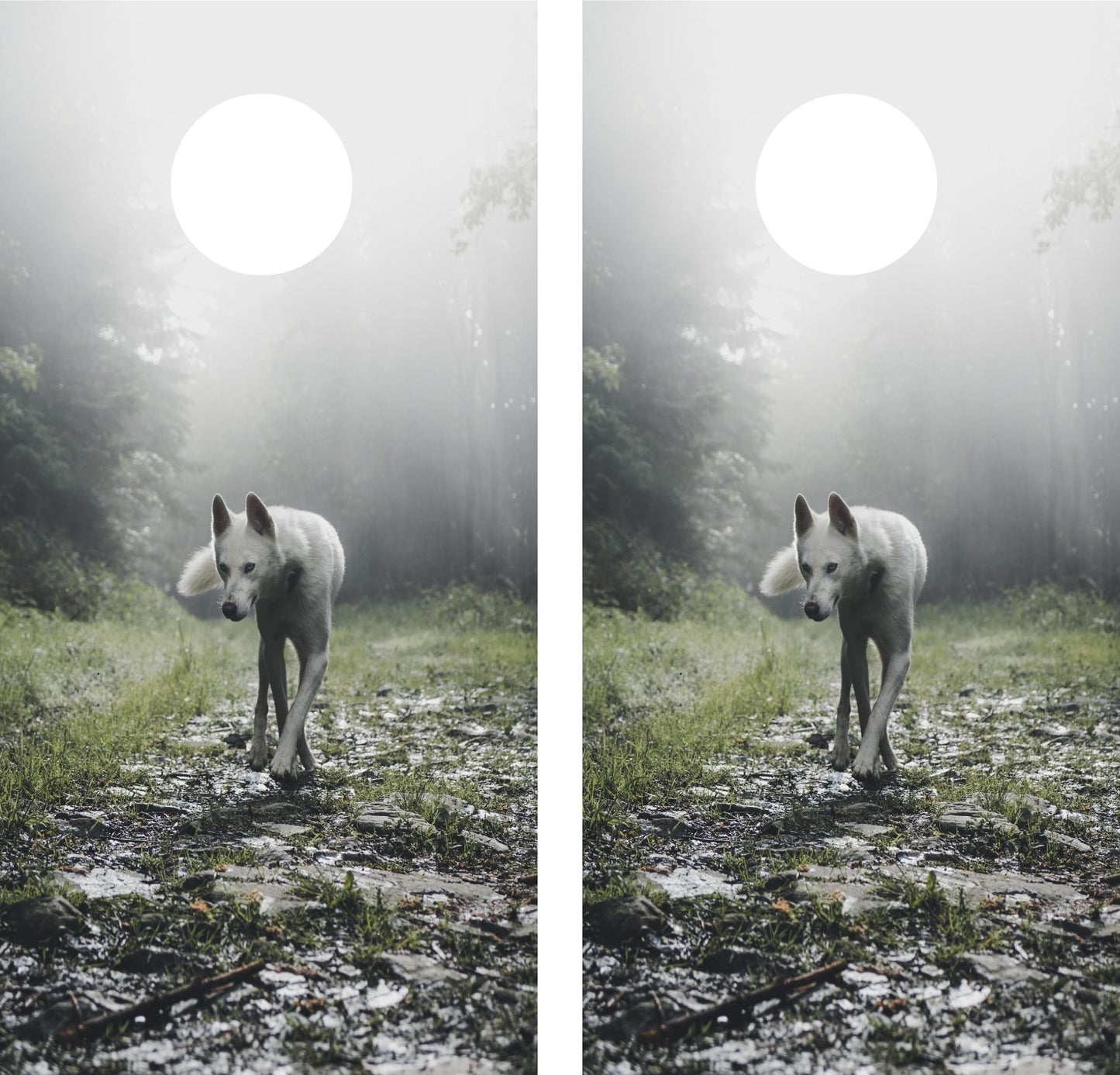 Wolf in the wild Cornhole Wraps