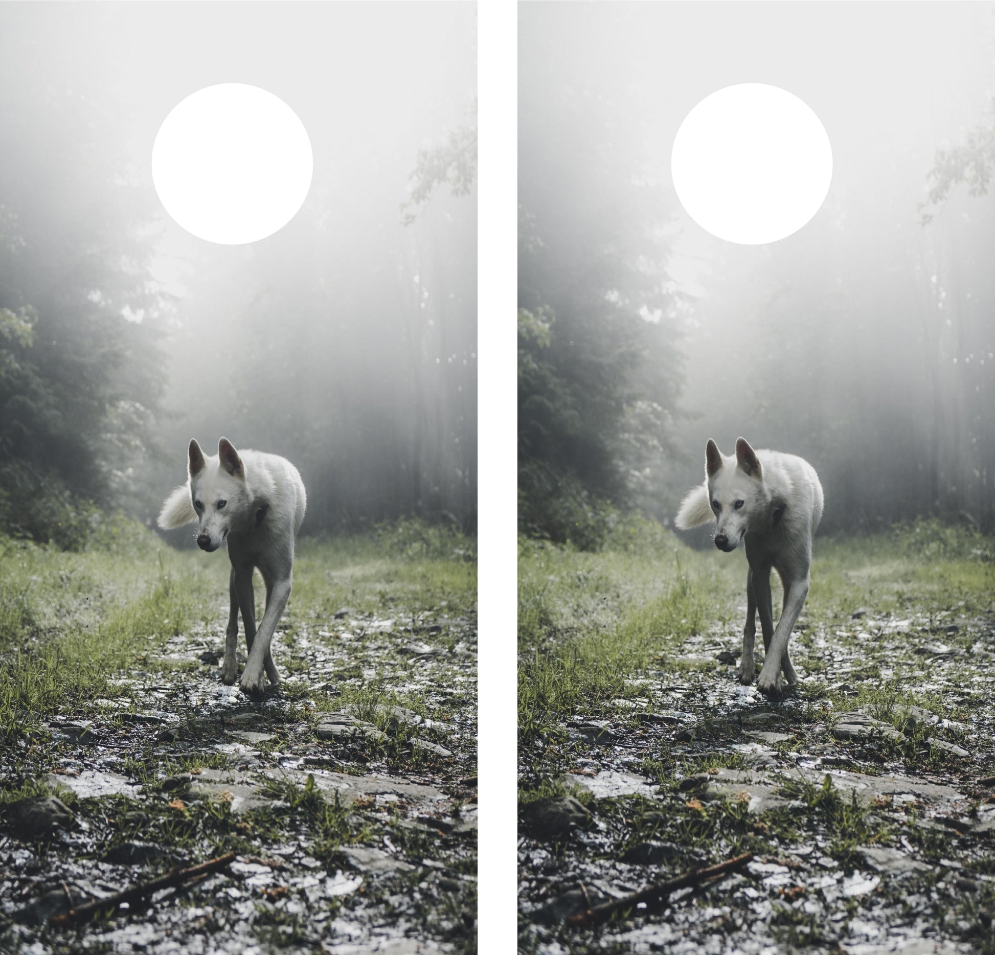 Wolf in the wild Cornhole Wraps